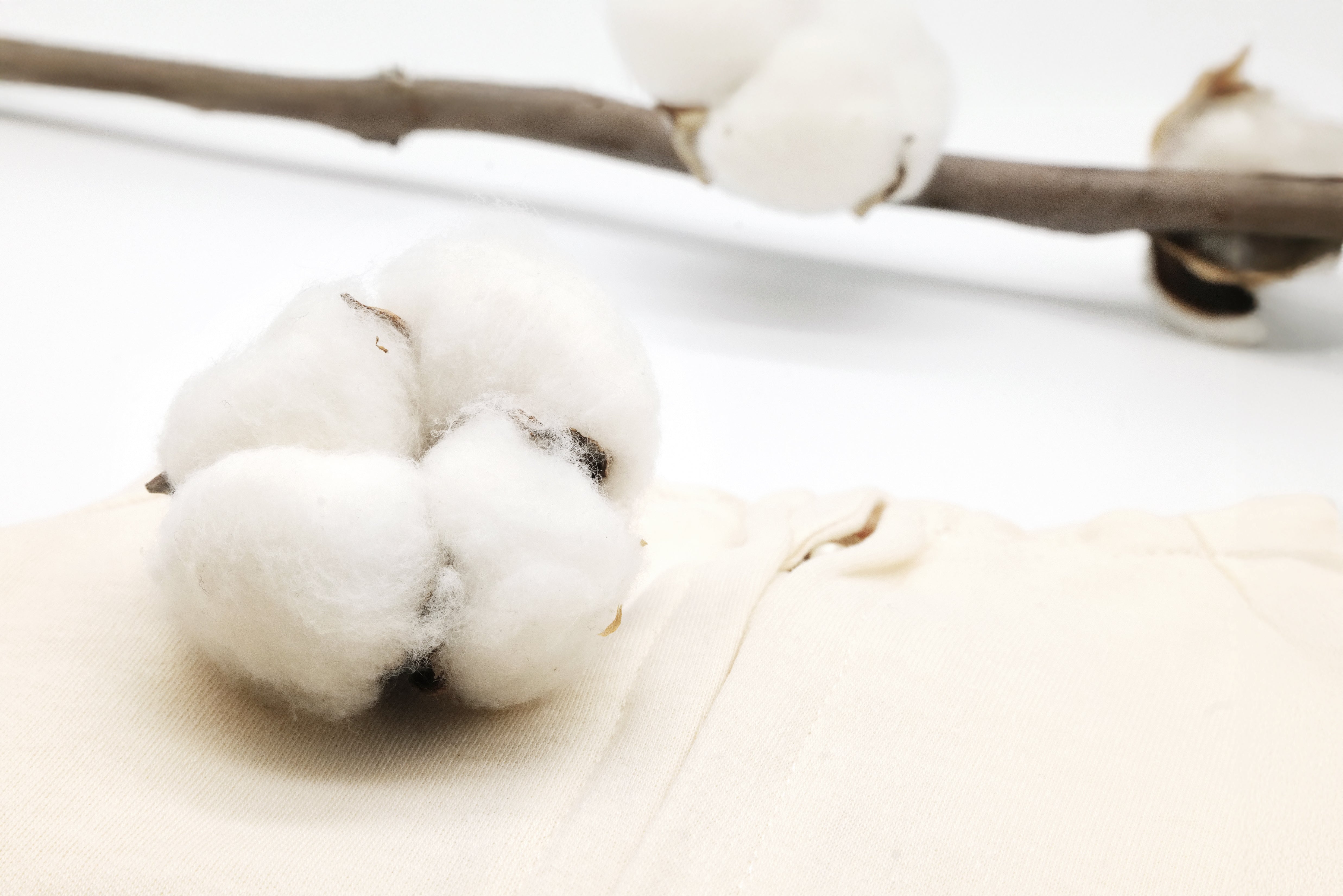 set / organic cotton baby clothing