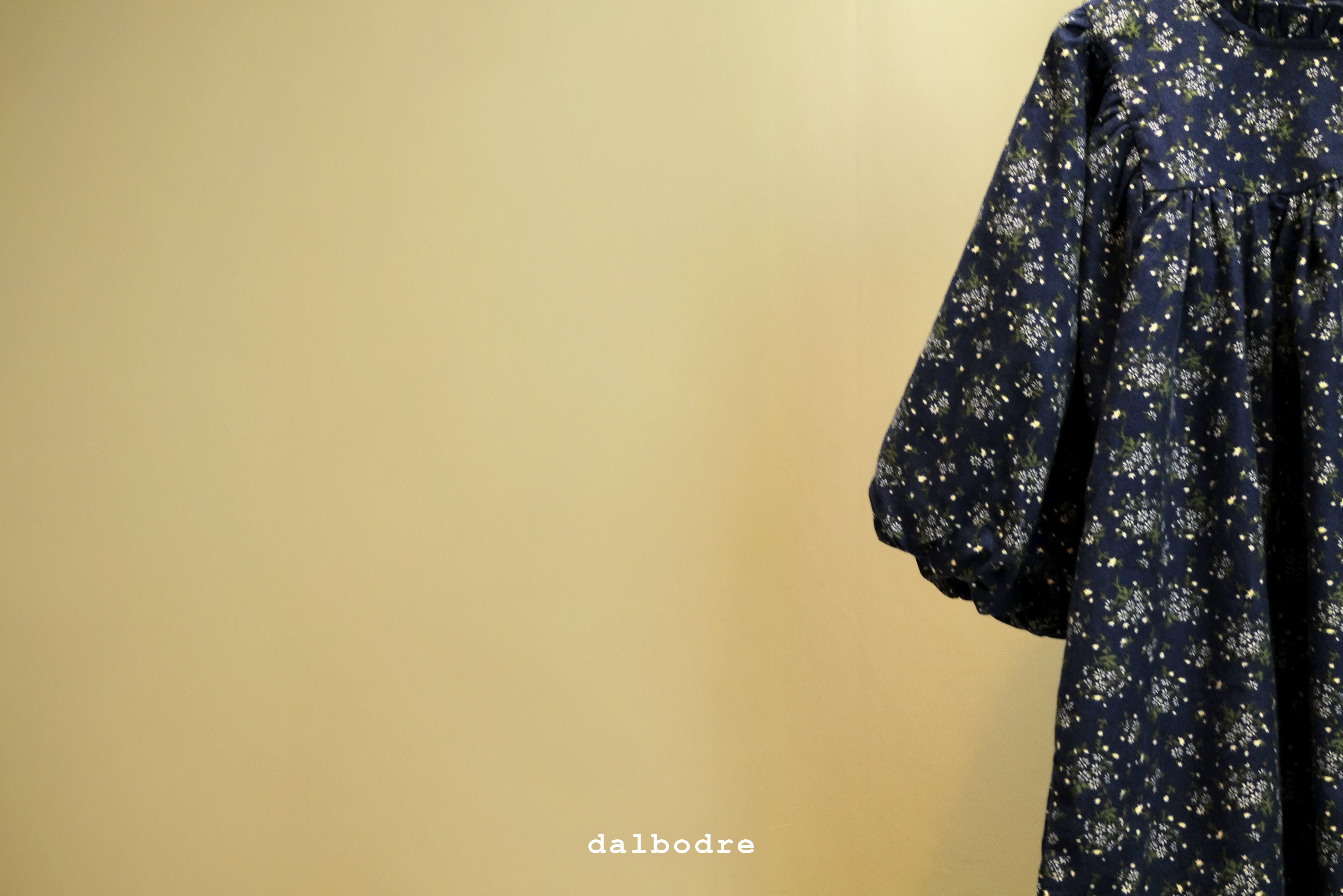 Midnight Meadow Dress