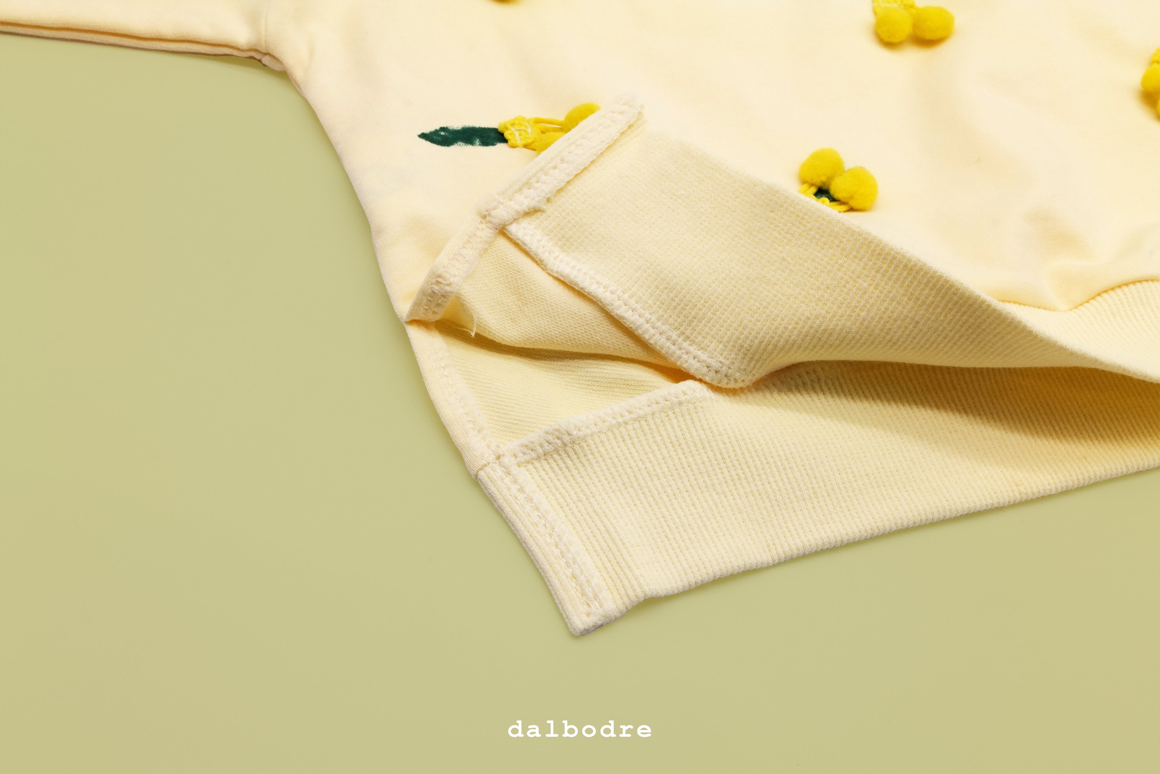 Lemon Embroidery Sweatshirt